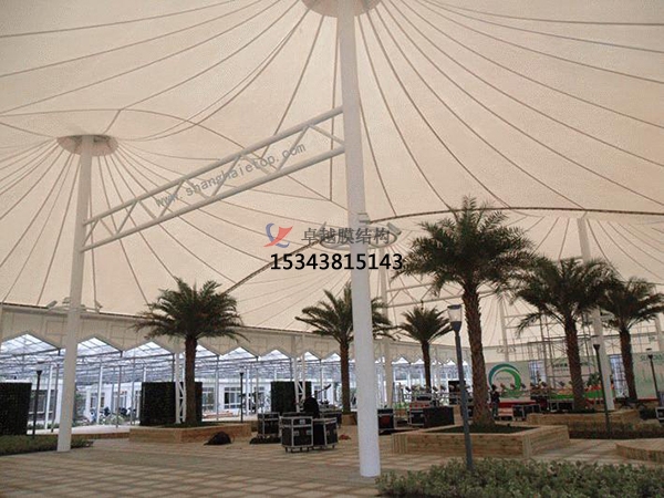 膜結(jié)構(gòu)預(yù)算單誰能做？