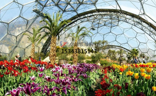 ETFE膜結(jié)構(gòu)造價高？為什么？